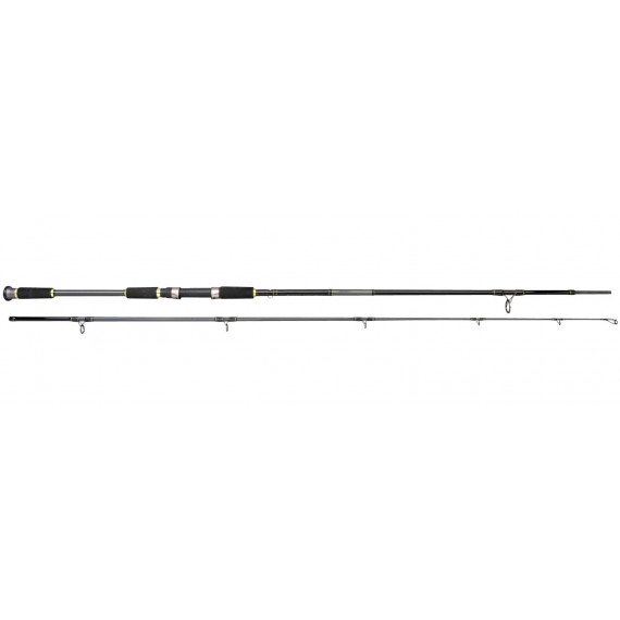 Canne silure Salty Beast Jig Spin 270cm (60-150gr) Spro 1