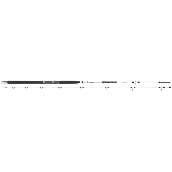 Welsrute sb Nano Heavy Jig Spin 240cm (100-250gr) Spro 1