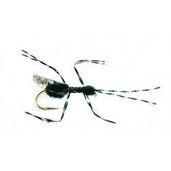 Land fly. - terrestrials bills Black flying ant 1722