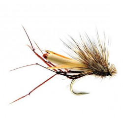 Moust.-Fliege - craneflies & damsels The daddyhog 809 ham 12 Fulling Mill