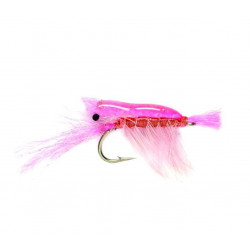 Fliege Ultra Shrimp Pink s4