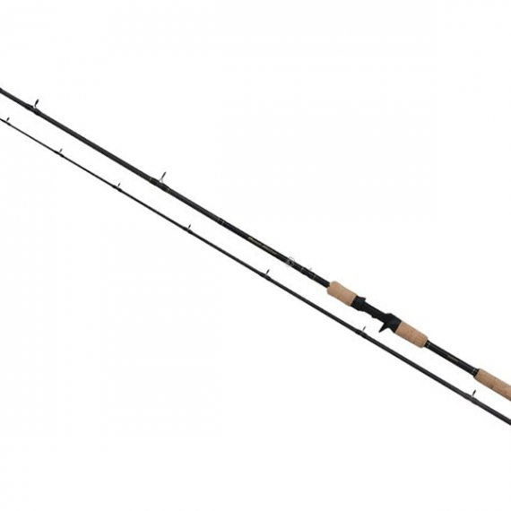 Canne Casting Shimano Beastmaster ex 210h (30-70gr) 1