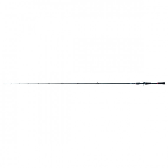 Casting rod Shimano Zodias 208cm (12-42gr) 2 sec. 4