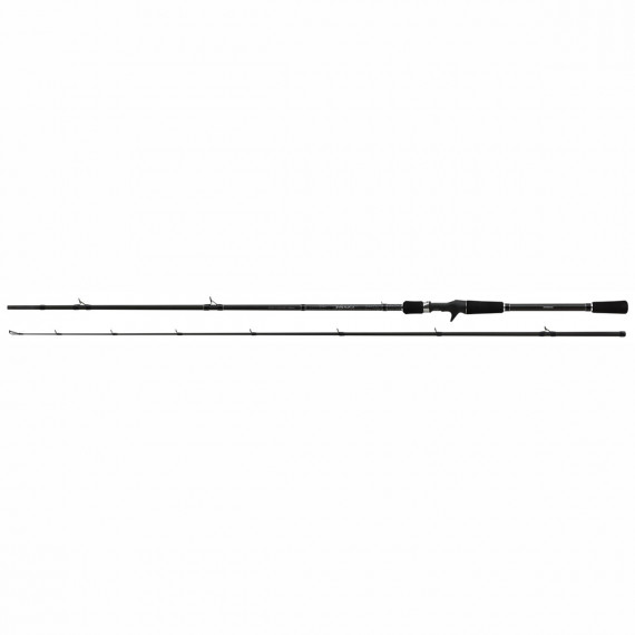 Casting rod Shimano Yasei Pike 250XH (40-100gr) 1