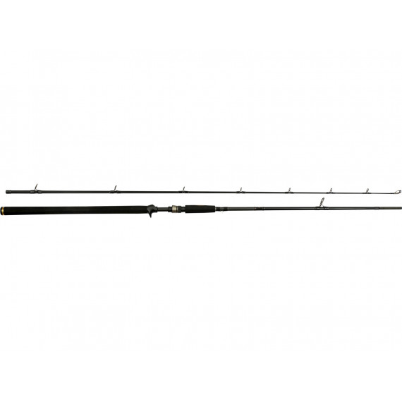 Caña de pescar W3 Powercast-T 2nd 248cm XXH 40-130gr Westin 1