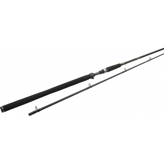 Casting Rod W3 Powercast-T 2nd 248cm XXH 40-130gr Westin 3