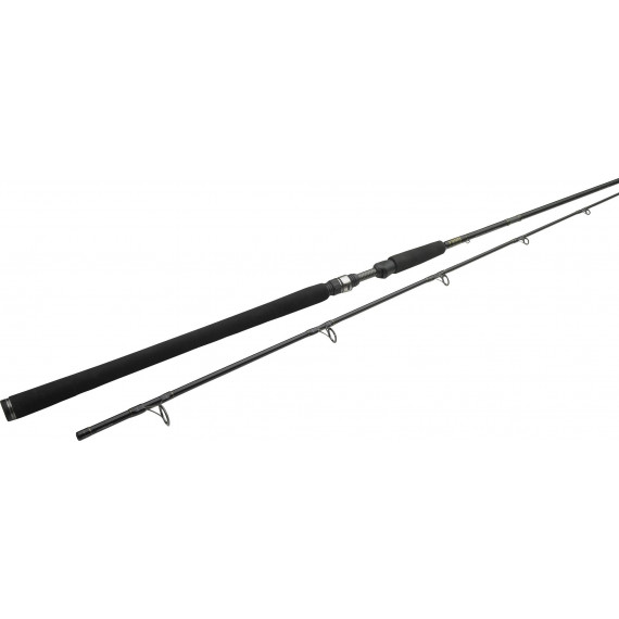 Spinning rod W3 Powercast 2nd 248cm XXH 40-130gr Westin 2
