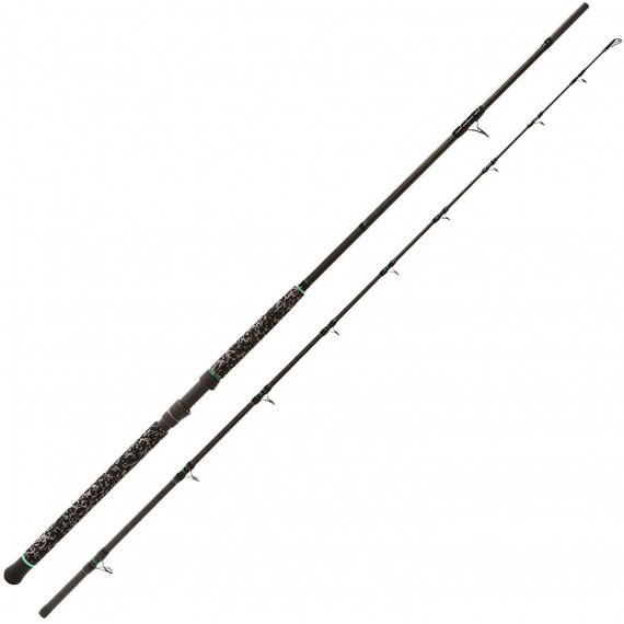 Catfish rod BC Long Range 3 30m 200 600g 1