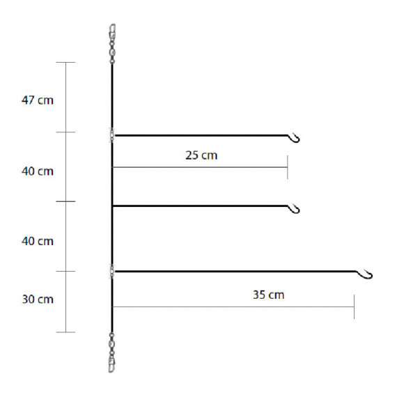 Asari triple competition leader 2