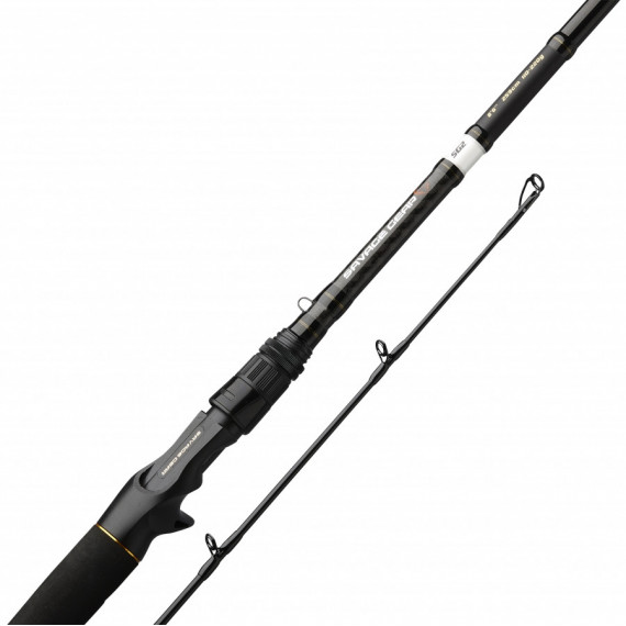 Casting Rod SG2 Big Bait Specialist 259cm 110-220gr Savage Gear 2