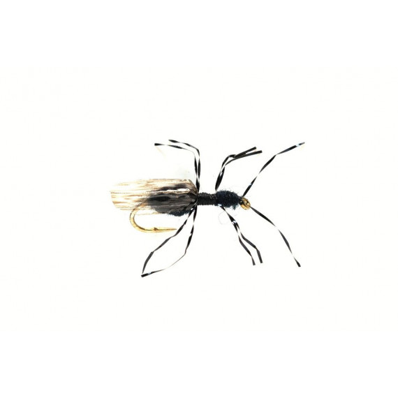 Fliege Terrestrials Mr Bill'S Black Flying Ant 1