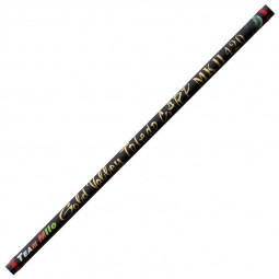Gold Valley Toledo Carp MKII Rute 390cm 10-30gr Milo