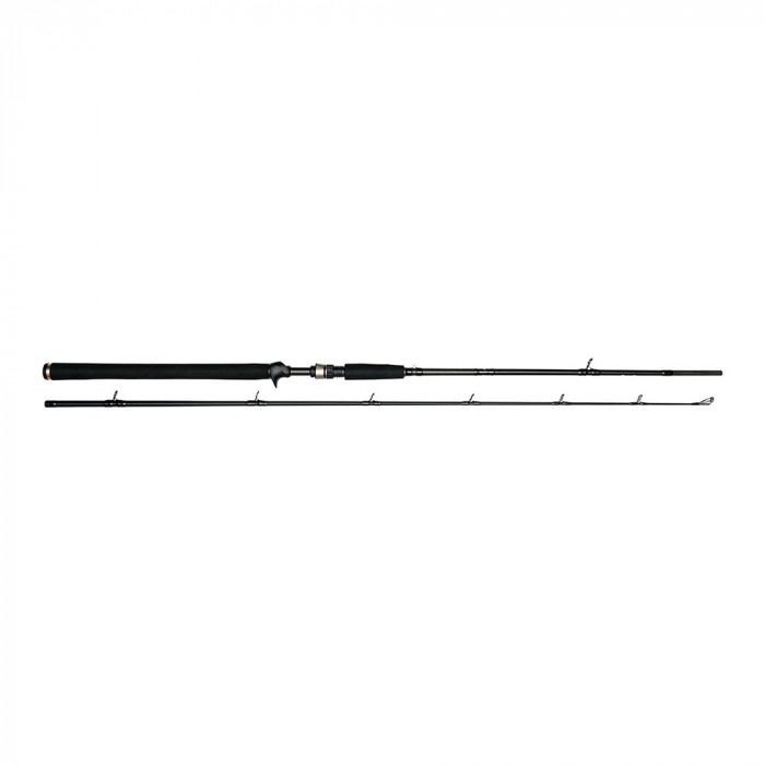 Hengel W3 Jerkbait-T 2e H 195cm (20-80gr) Westin 3