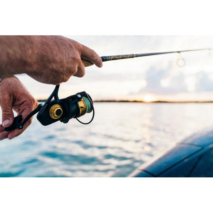Spinfisher VI 8500SPIN REEL 6
