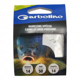Special hooks for carp and big fish