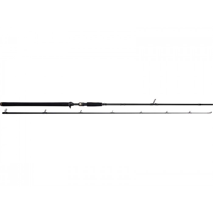 Canne Westin W3 Powershad-T 2nd 248cm 60-180gr 2