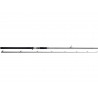 Canne Westin W3 Powershad-T 2nd 248cm 60-180gr min 2
