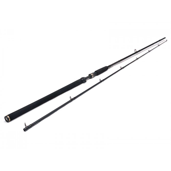 Canne Westin W3 Powershad-T 2nd 248cm 60-180gr 1