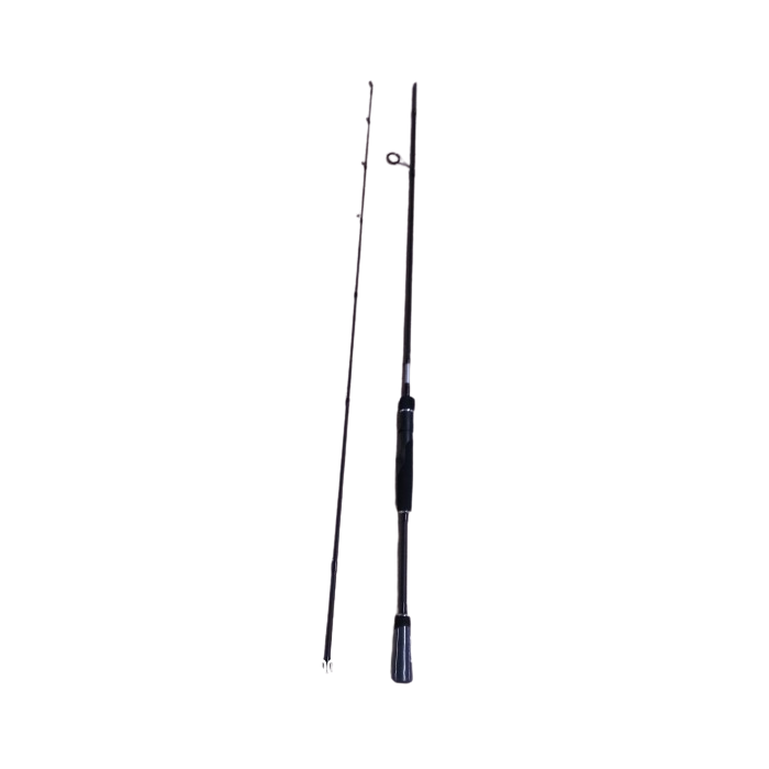 Spro Dsx 2.70M 50-150G Xxxh rod 1