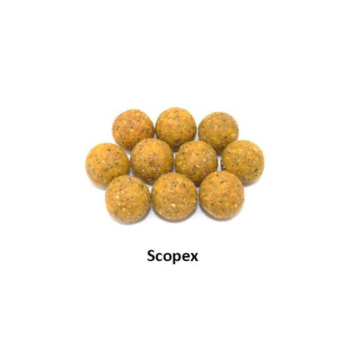 Scopex boilies 5 kg 20mm DK Productos 2