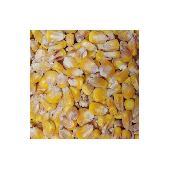 Pero la carpa Deconinck 1