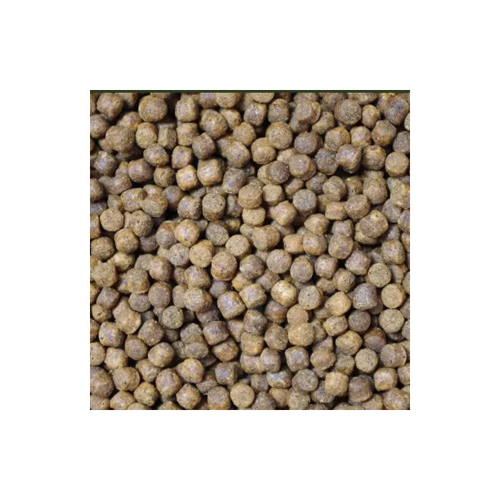 Pellet Extrude Competition 5mm Deconinck 1