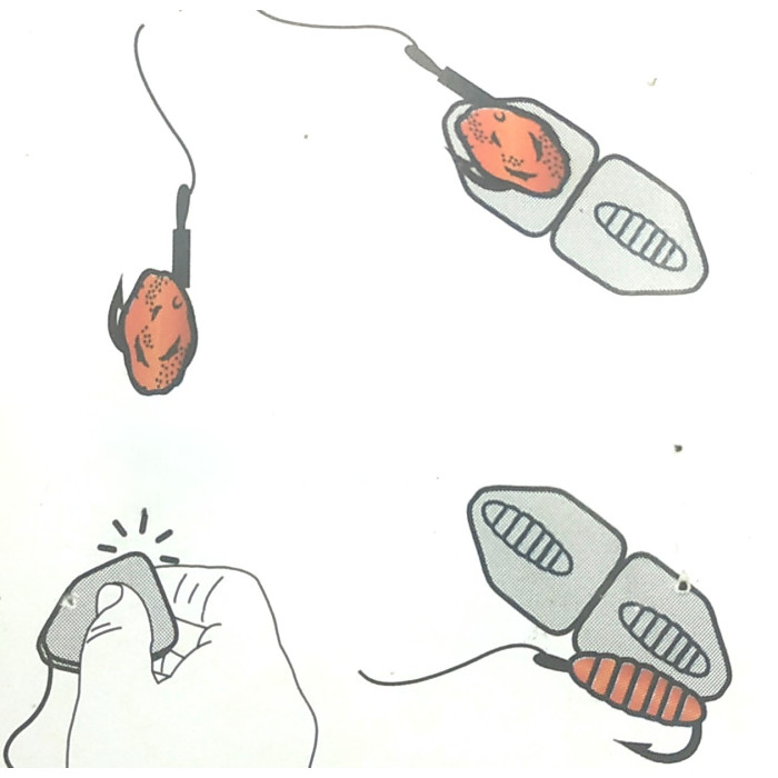 Lineaffe pastry mould Worm Type 2