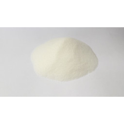 Bétaine 95% 50gr Orbiter