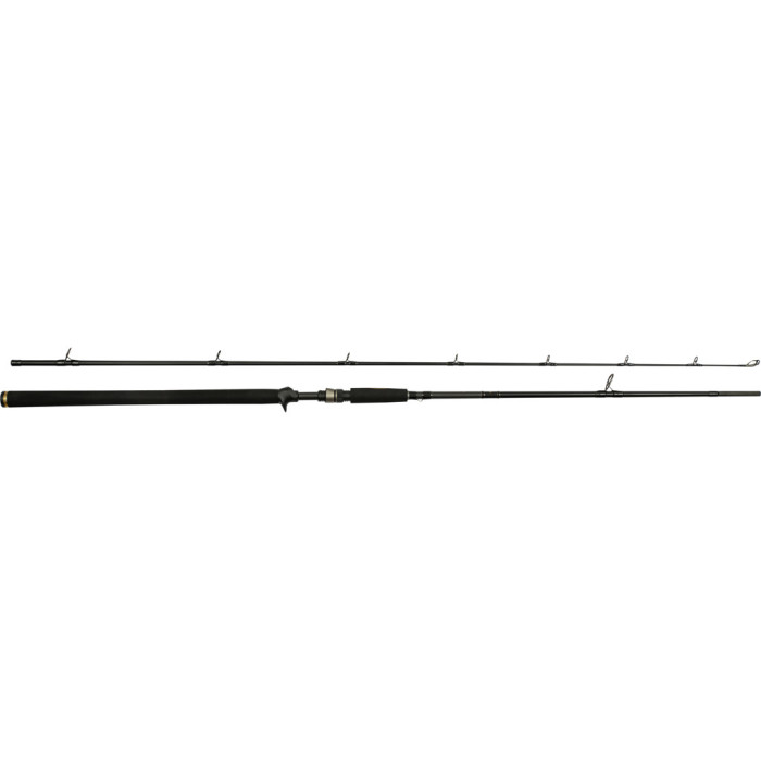 Baitcasting rod WESTIN W3 Powercast-T 2nd 60-150 g 1