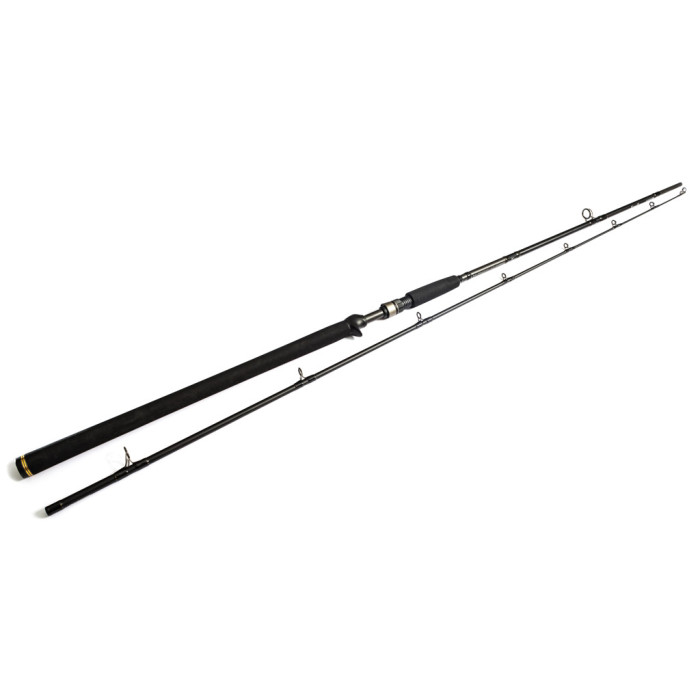 Canne Baitcasting WESTIN W3 Powercast-T 2nd 60-150 g 2