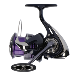 DAIWA 24 Prorex X LT 3000-C vismolen